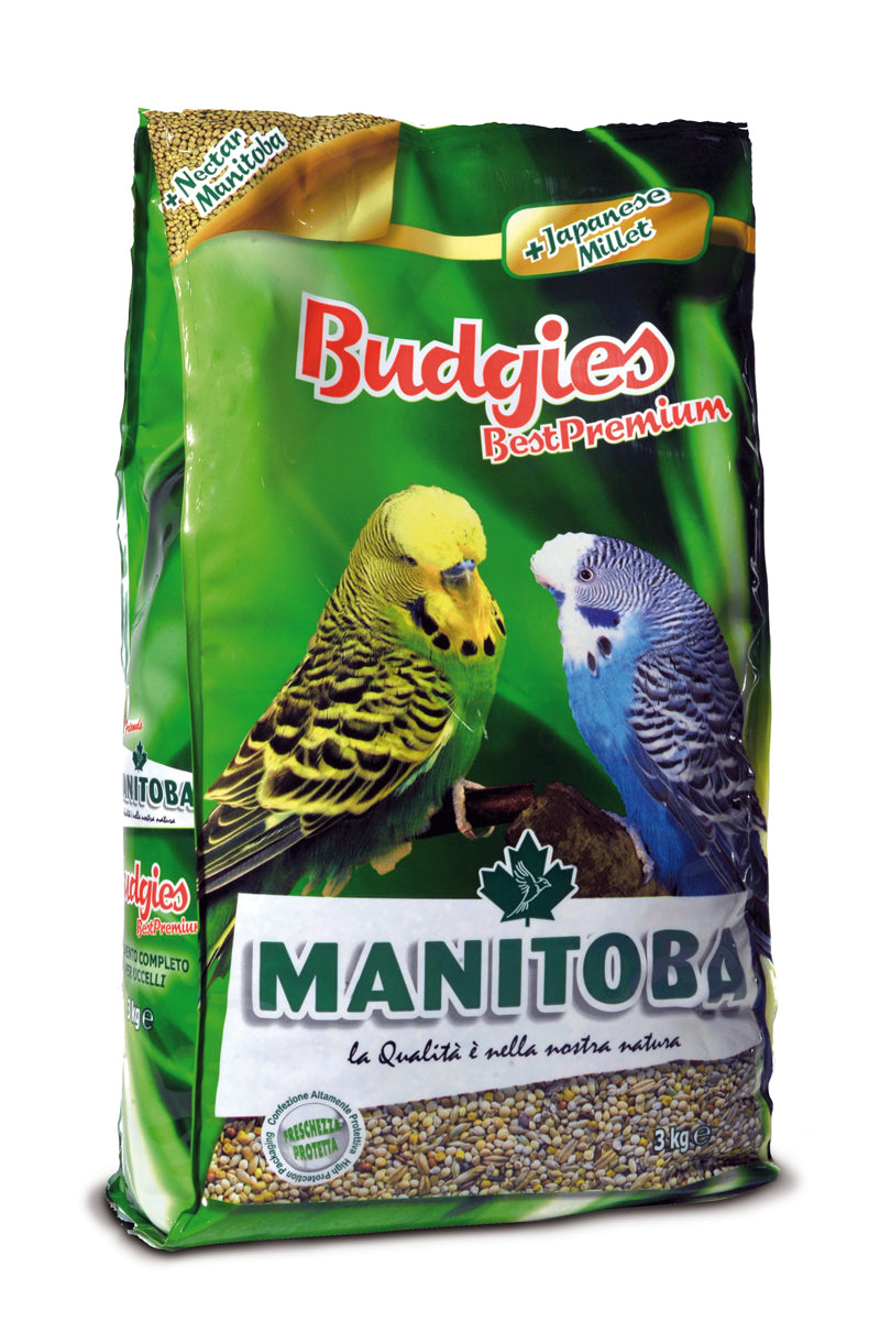 Manitoba Budgies - 1 Kg