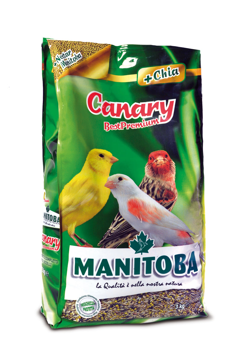 Manitoba Canary - 1 Kg