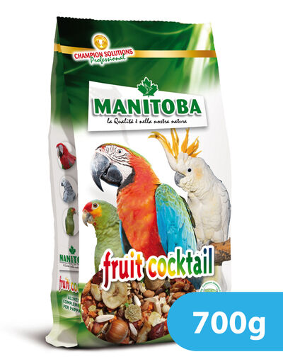 Manitoba Fruit Cocktail - 700g