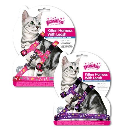 Pawise Kitten Harness with Leash - Pink/Purple