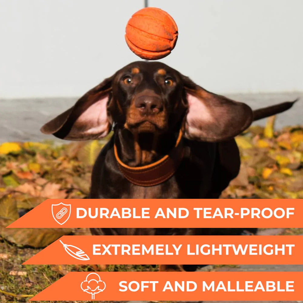 Waudog Liker9 3.5" Dog Toy