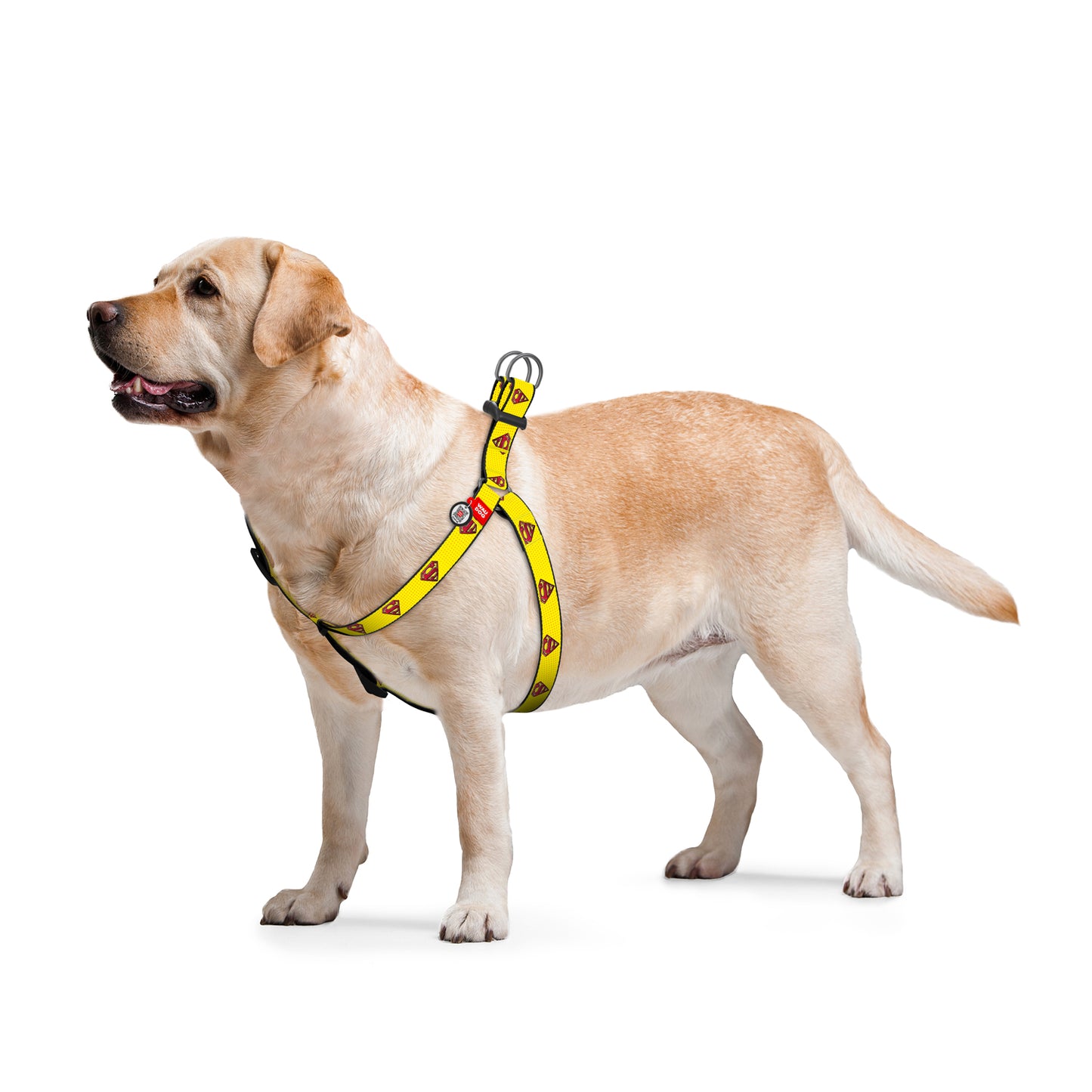 Waudog Nylon Dog Harness - Superman 2 - Plastic Buckle - S