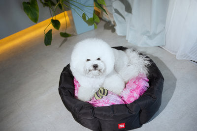 Waudog Relax Pet Bed - Wonder Woman - M