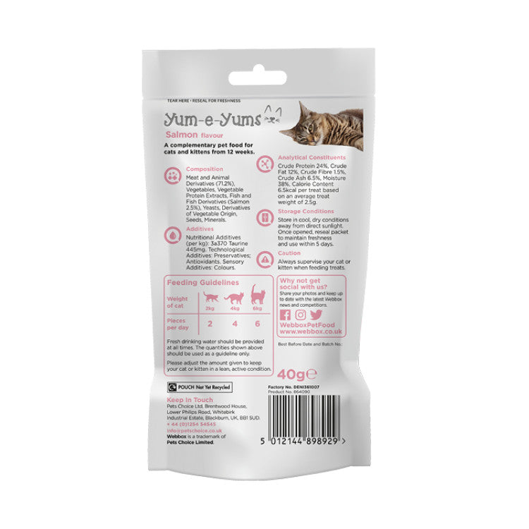 Webbox Cat Treat Yum-e-Yums Salmon - 40g