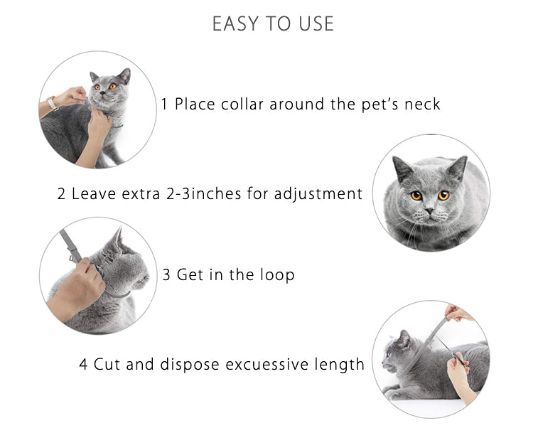 Funny Paws Dog Flea & Tick Collar - One Size Fits All