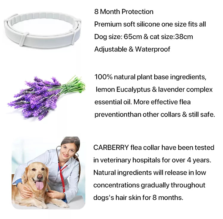 Funny Paws Dog Flea & Tick Collar - One Size Fits All