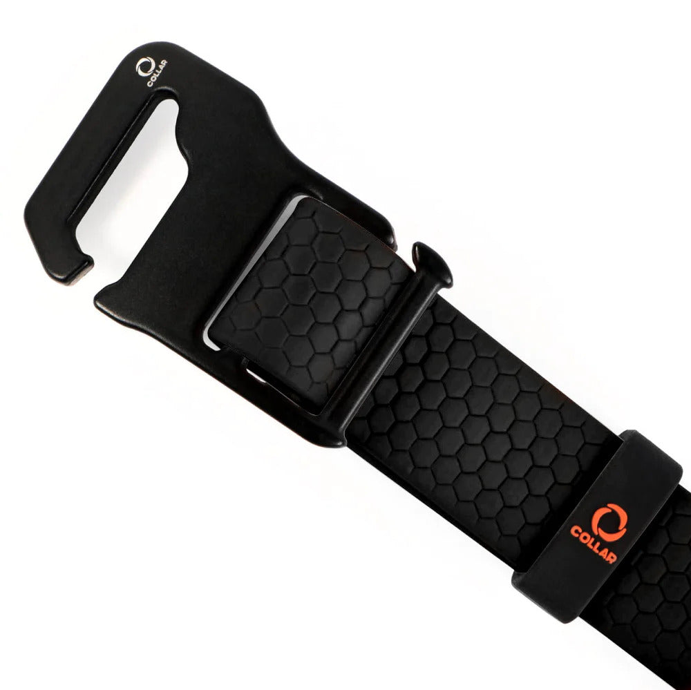 Evolutor Dog Collar - One Size