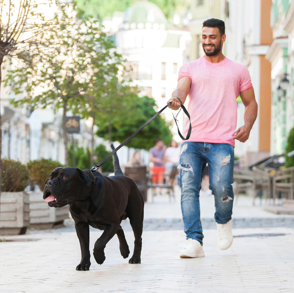 Evolutor Dog Collar - One Size