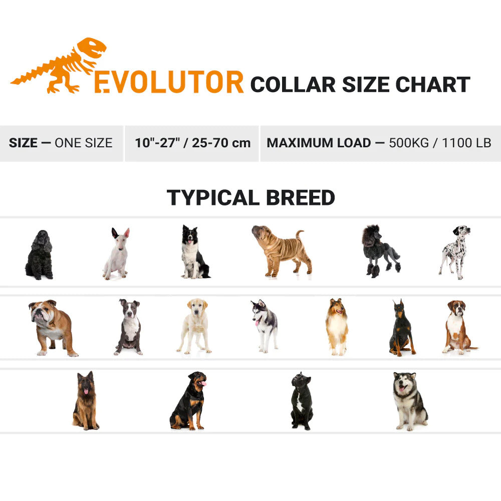Evolutor Dog Collar - One Size