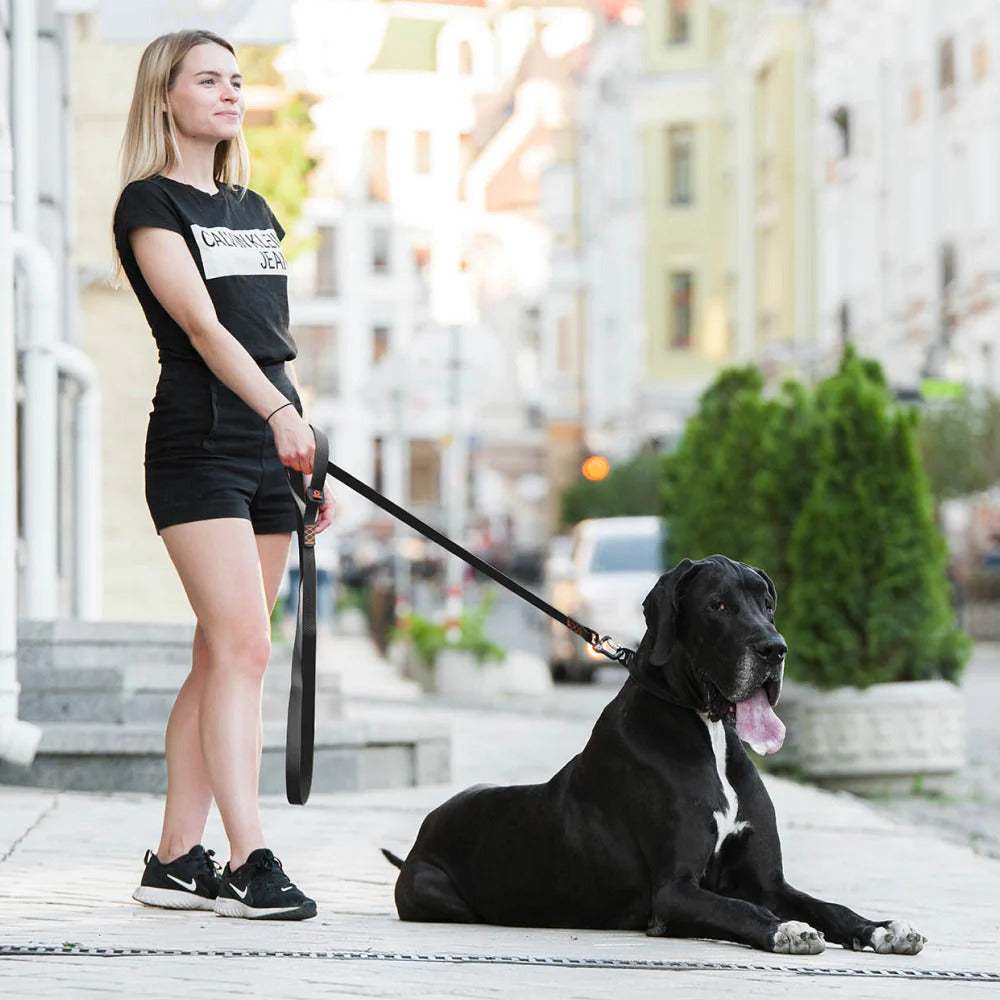 Evolutor Dog Leash - One Size