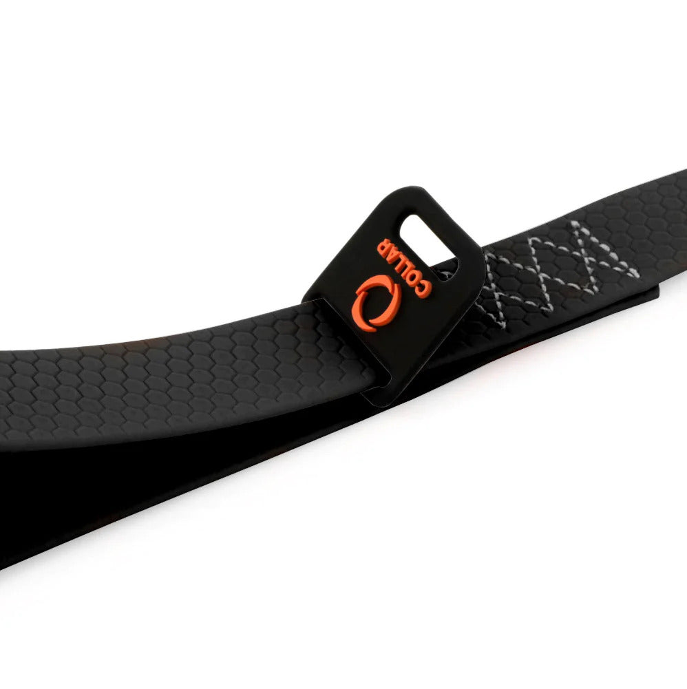 Evolutor Dog Leash - One Size