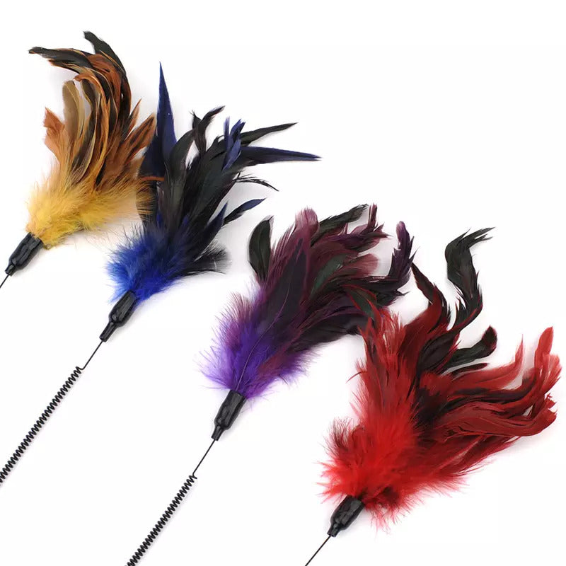 Funny Paws Cat Feather Spring Wand - Assorted Colors