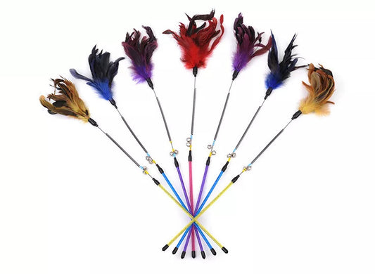 Funny Paws Cat Feather Spring Wand - Assorted Colors