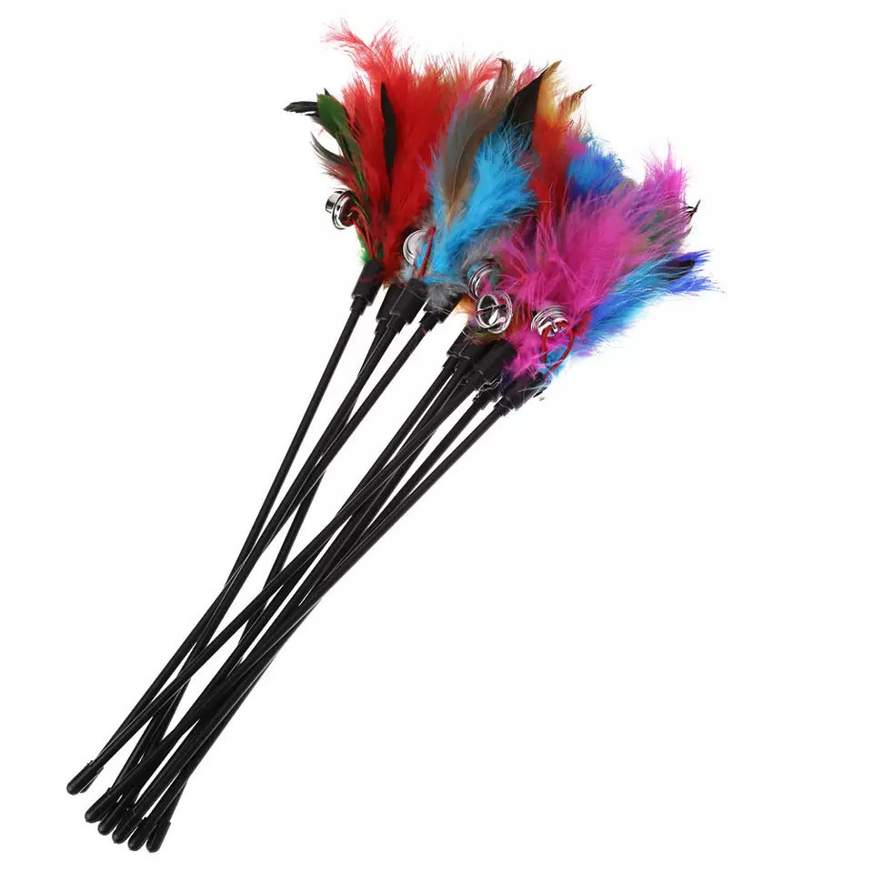 Funny Paws Cat Feather Wand - Assorted Colors