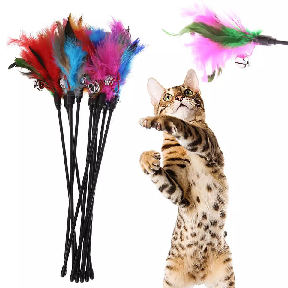 Funny Paws Cat Feather Wand - Assorted Colors