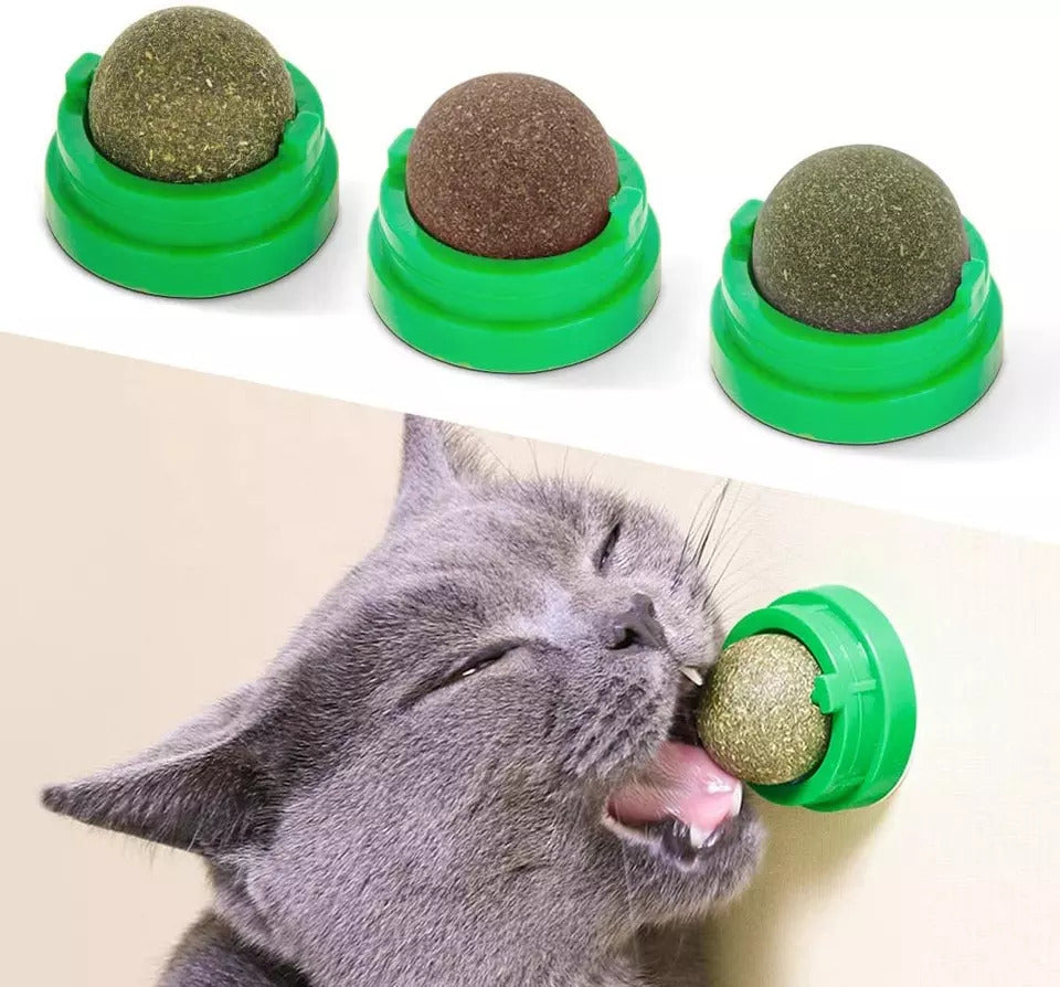 Funny Paws Catnip Ball Wall Toy