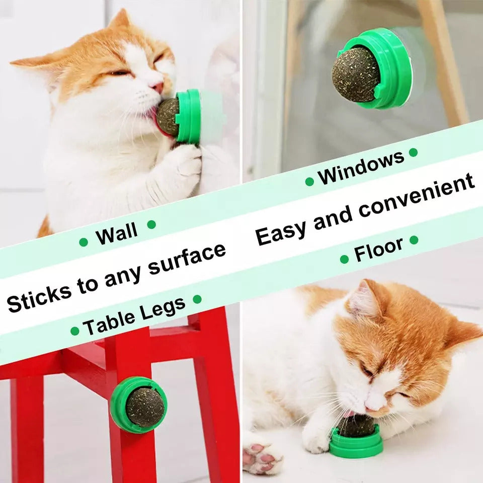 Funny Paws Catnip Ball Wall Toy