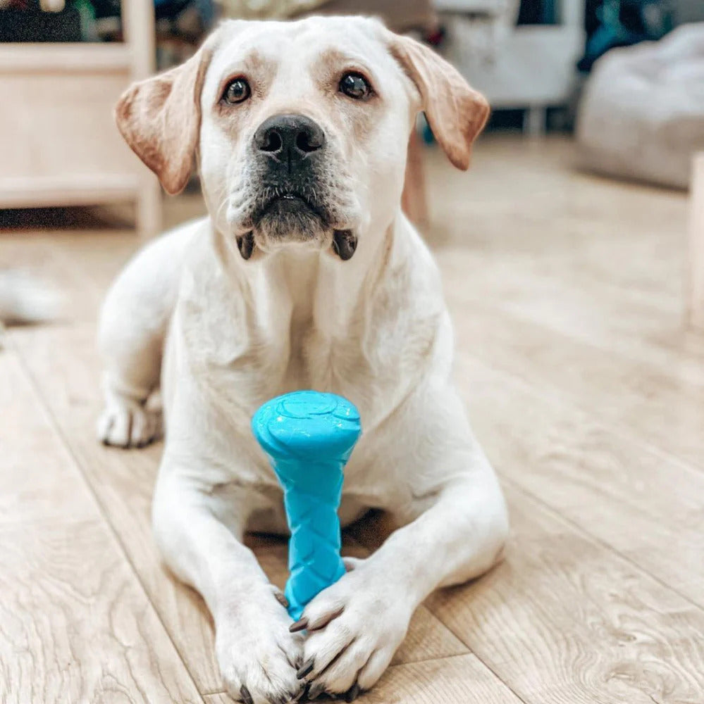 PitchDog Barbell Dog Toy - Blue