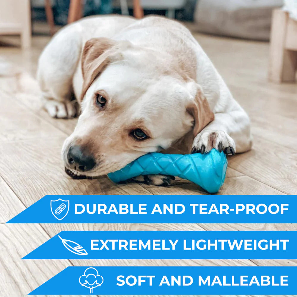 PitchDog Barbell Dog Toy - Blue