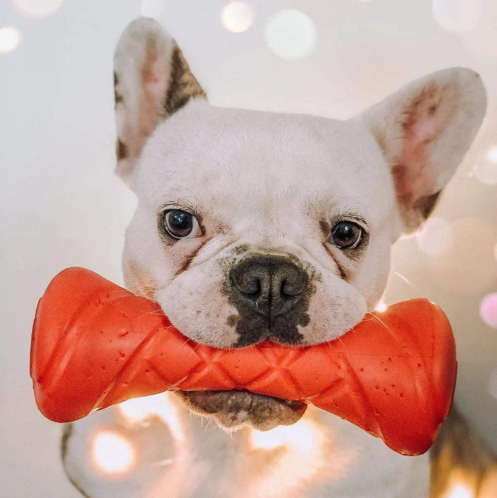 PitchDog Barbell Dog Toy - Orange