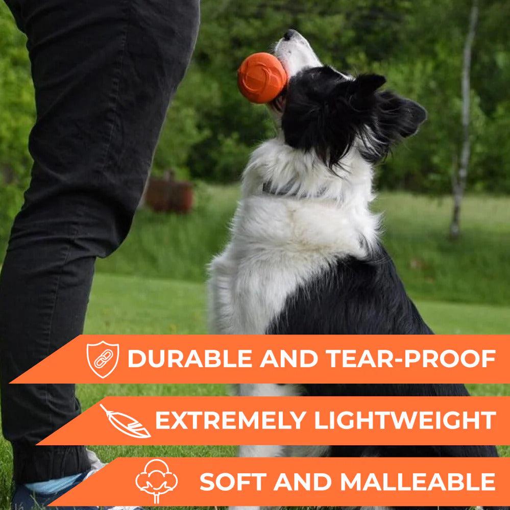 PitchDog Barbell Dog Toy - Orange