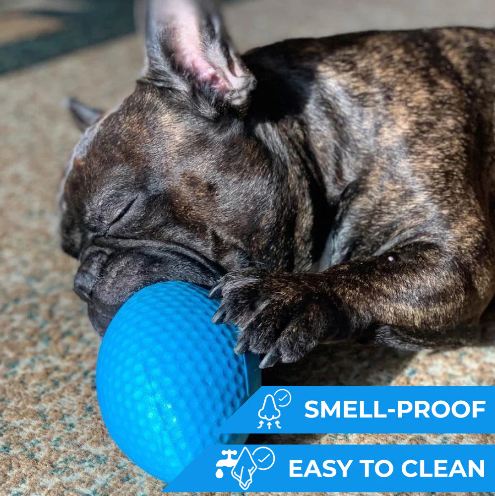 PitchDog Football Dog Toy - Blue