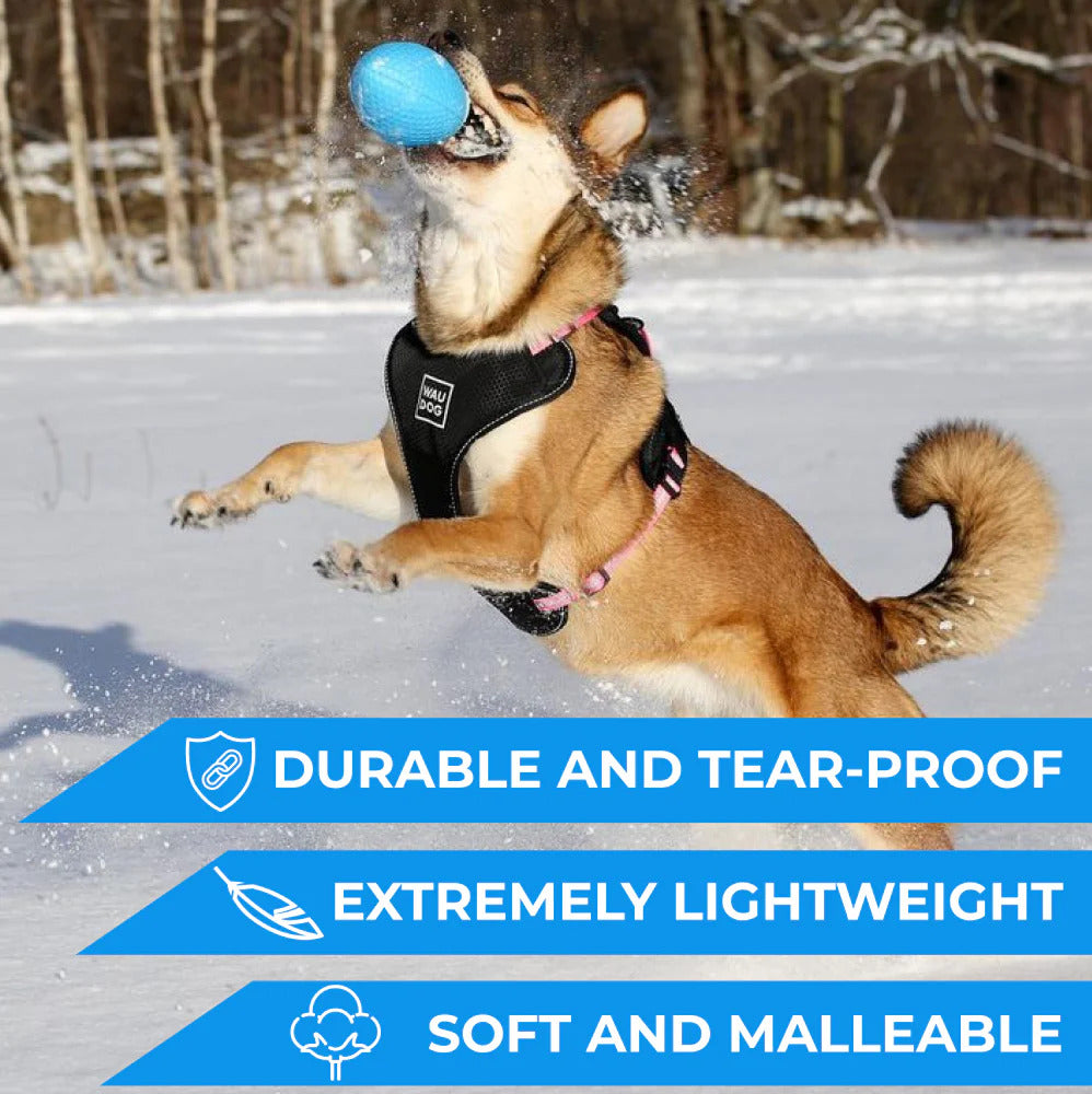 PitchDog Football Dog Toy - Blue