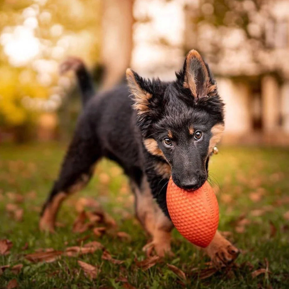 PitchDog Football Dog Toy - Orange