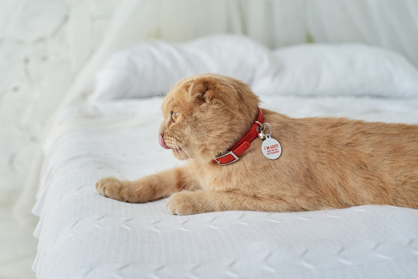 Waudog Glamour Leather Cat Collar w/ QR Tag - Red - 17 to 20 cm