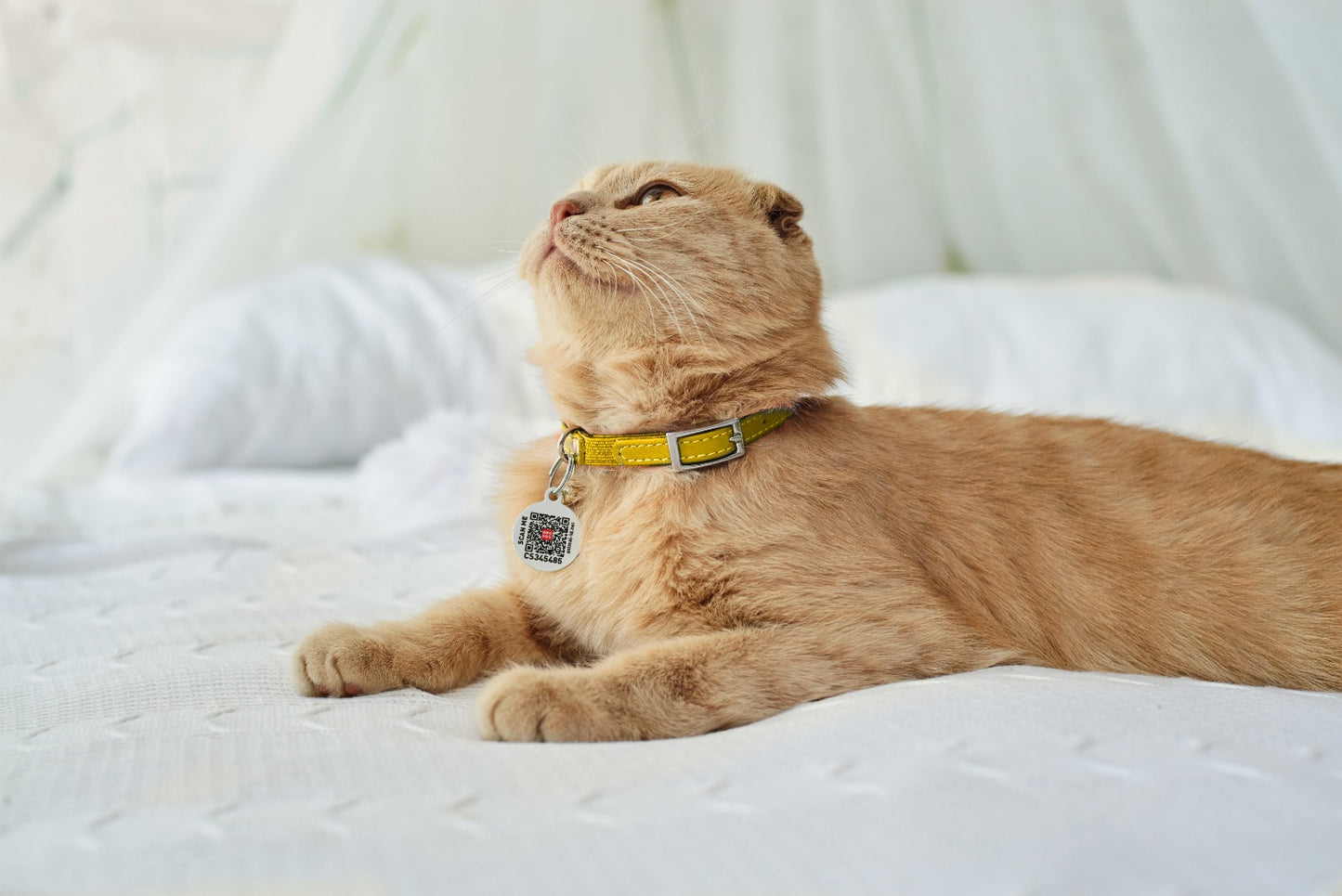 Waudog Glamour Leather Cat Collar w/ QR Tag - Yellow - 17 to 20 cm