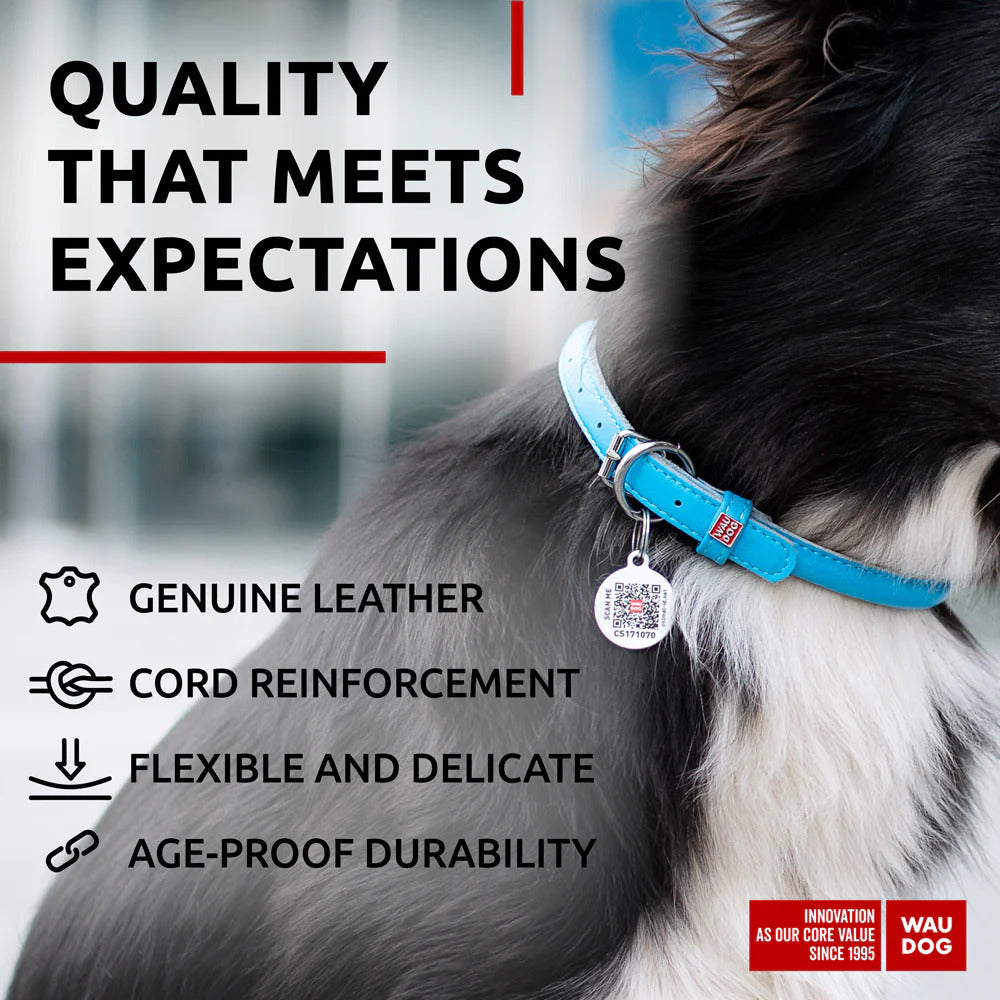 Waudog Glamour Leather Dog Collar w/ QR Tag - XL - Blue