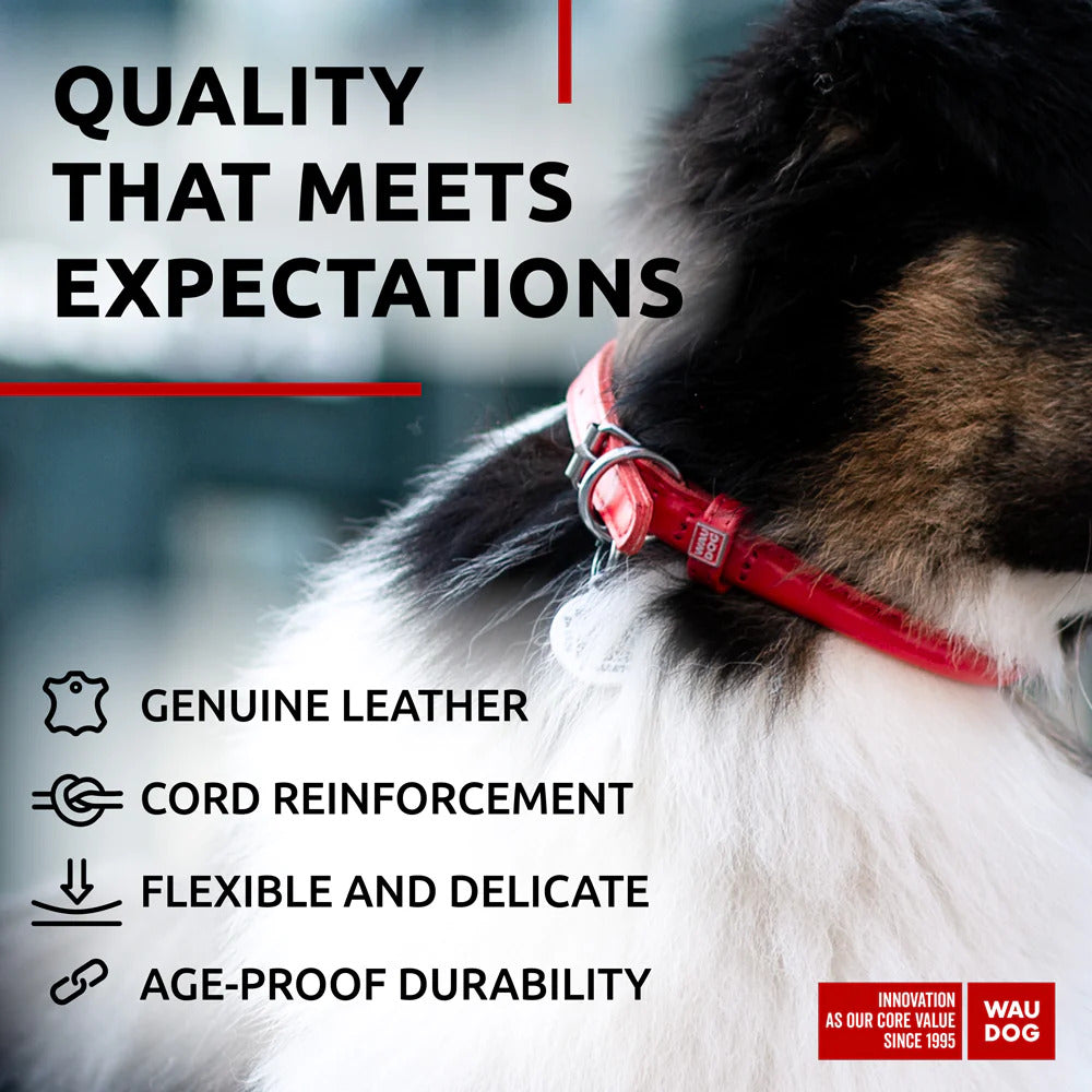 Waudog Glamour Leather Dog Collar w/ QR Tag - M - Red