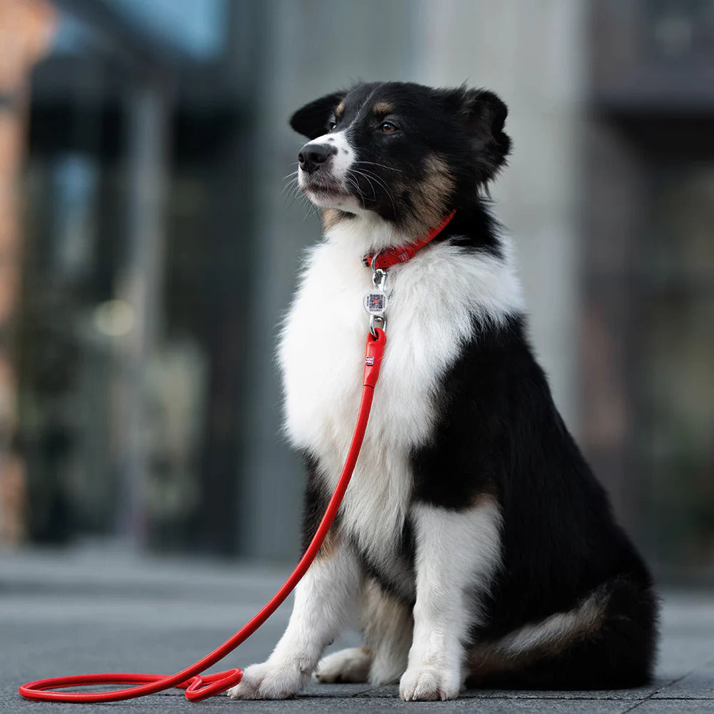 Waudog Glamour Leather Dog Collar w/ QR Tag - M - Red