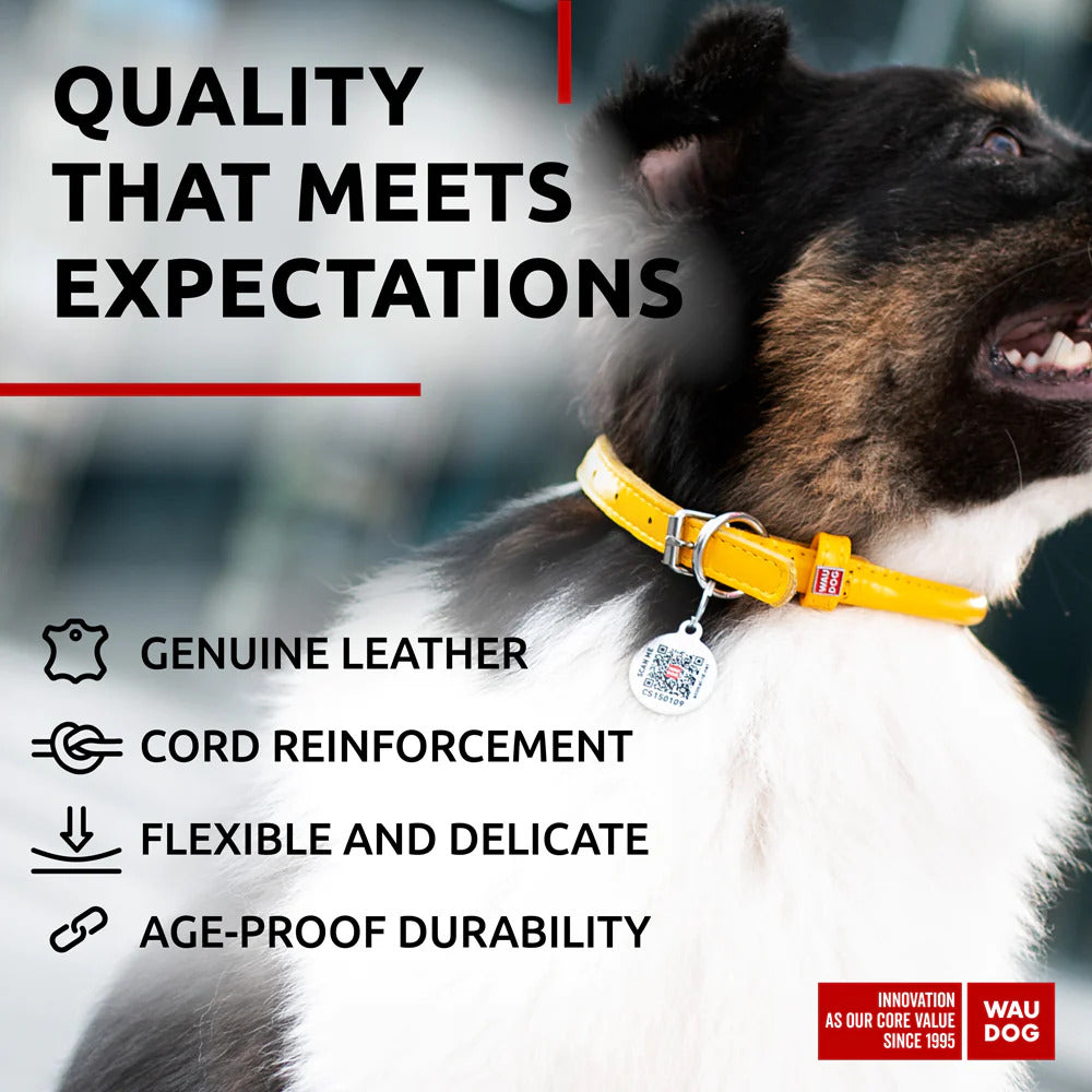 Waudog Glamour Leather Dog Collar w/ QR Tag - L - Yellow