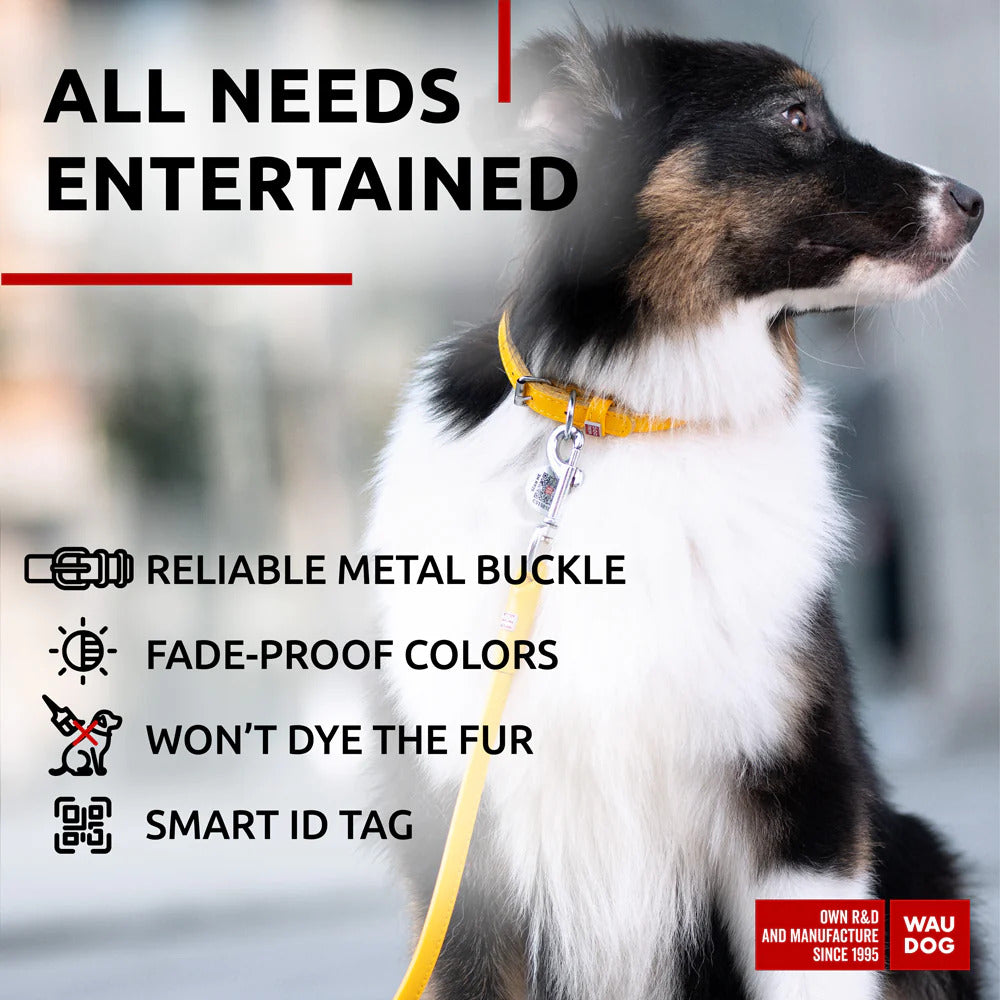 Waudog Glamour Leather Dog Collar w/ QR Tag - XL - Yellow