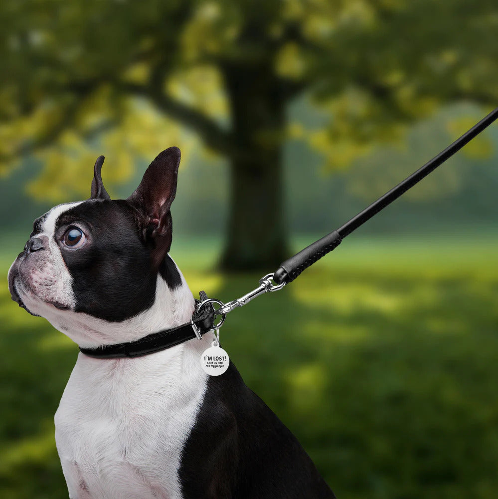 Waudog Glamour Leather Dog Leash - L - Black