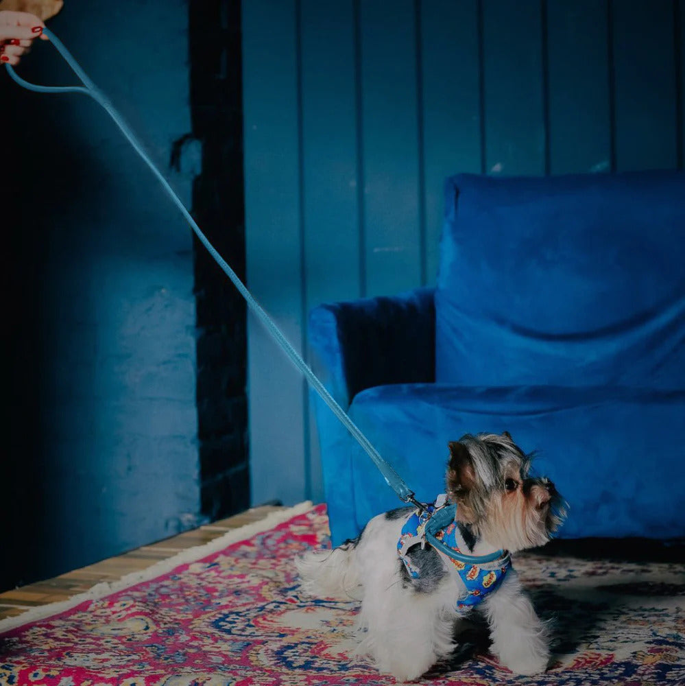 Waudog Glamour Leather Dog Leash - M - Blue