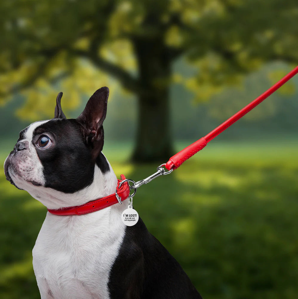 Waudog Glamour Leather Dog Leash - L - Red