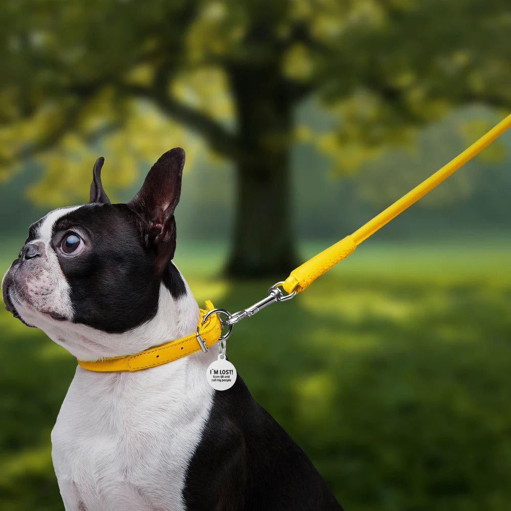 Waudog Glamour Leather Dog Leash - M - Yellow