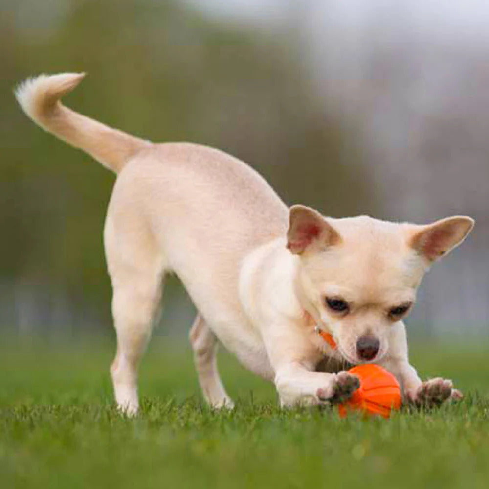 Waudog Liker5 2" Dog Toy