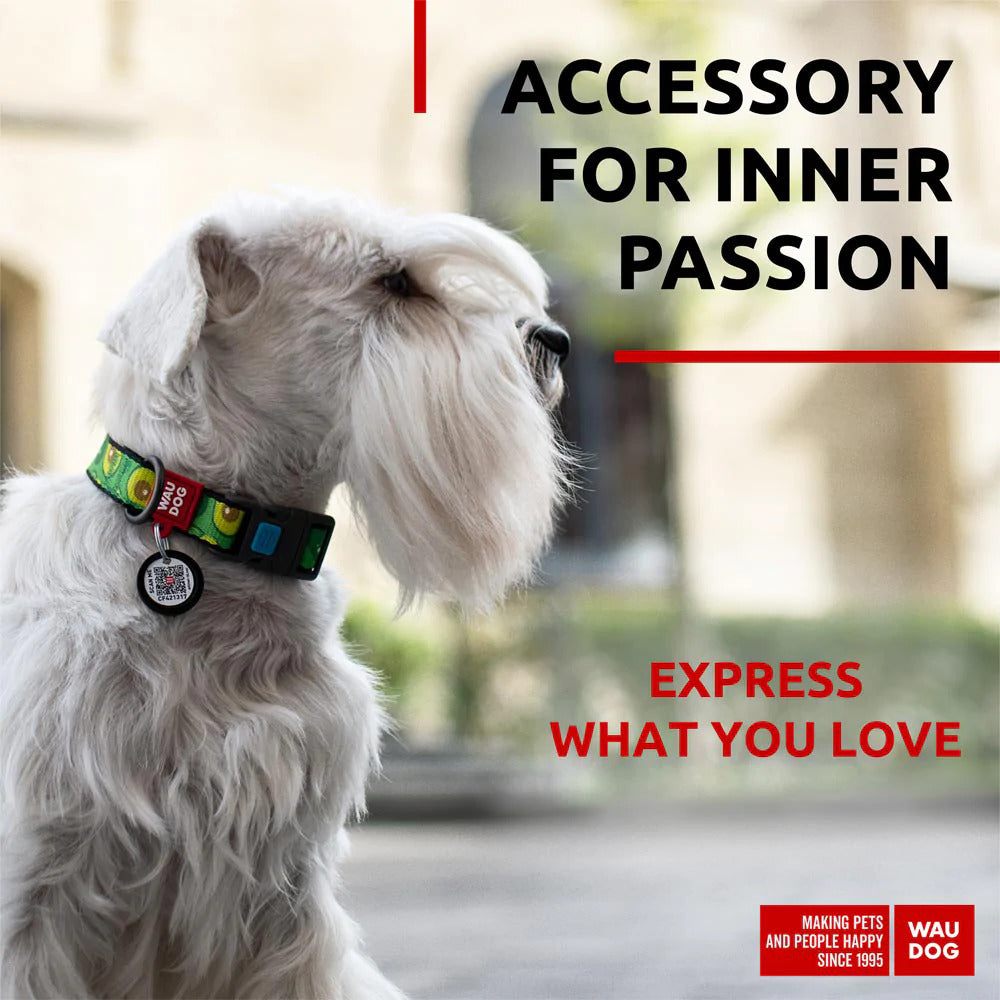 Waudog Nylon Dog Collar with QR Tag - Avocado - Plastic Buckle - L