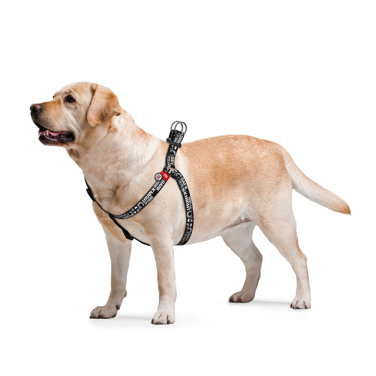 Waudog Nylon Dog Harness - Dark Knight - Plastic Buckle - M