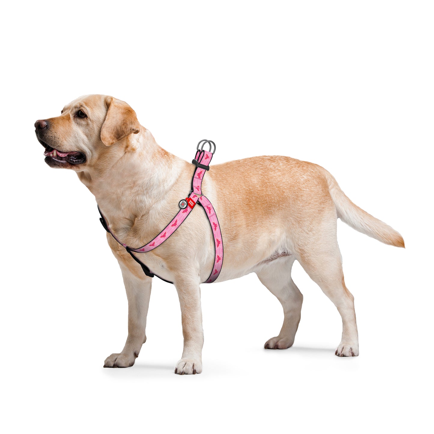 Waudog Nylon Dog Harness - Wonder Woman 1 - Plastic Buckle - L
