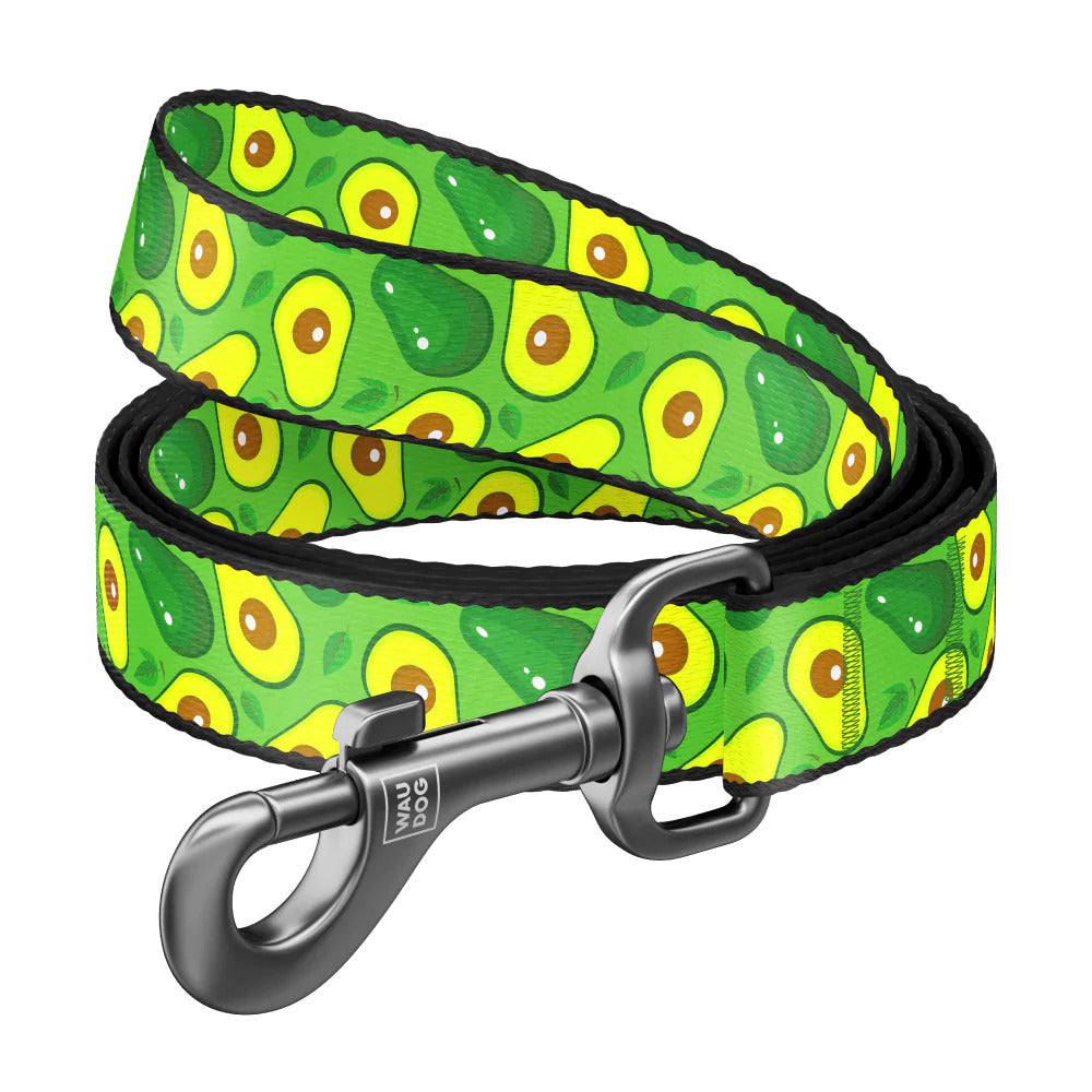 Waudog Nylon Dog Leash - Avocado - L