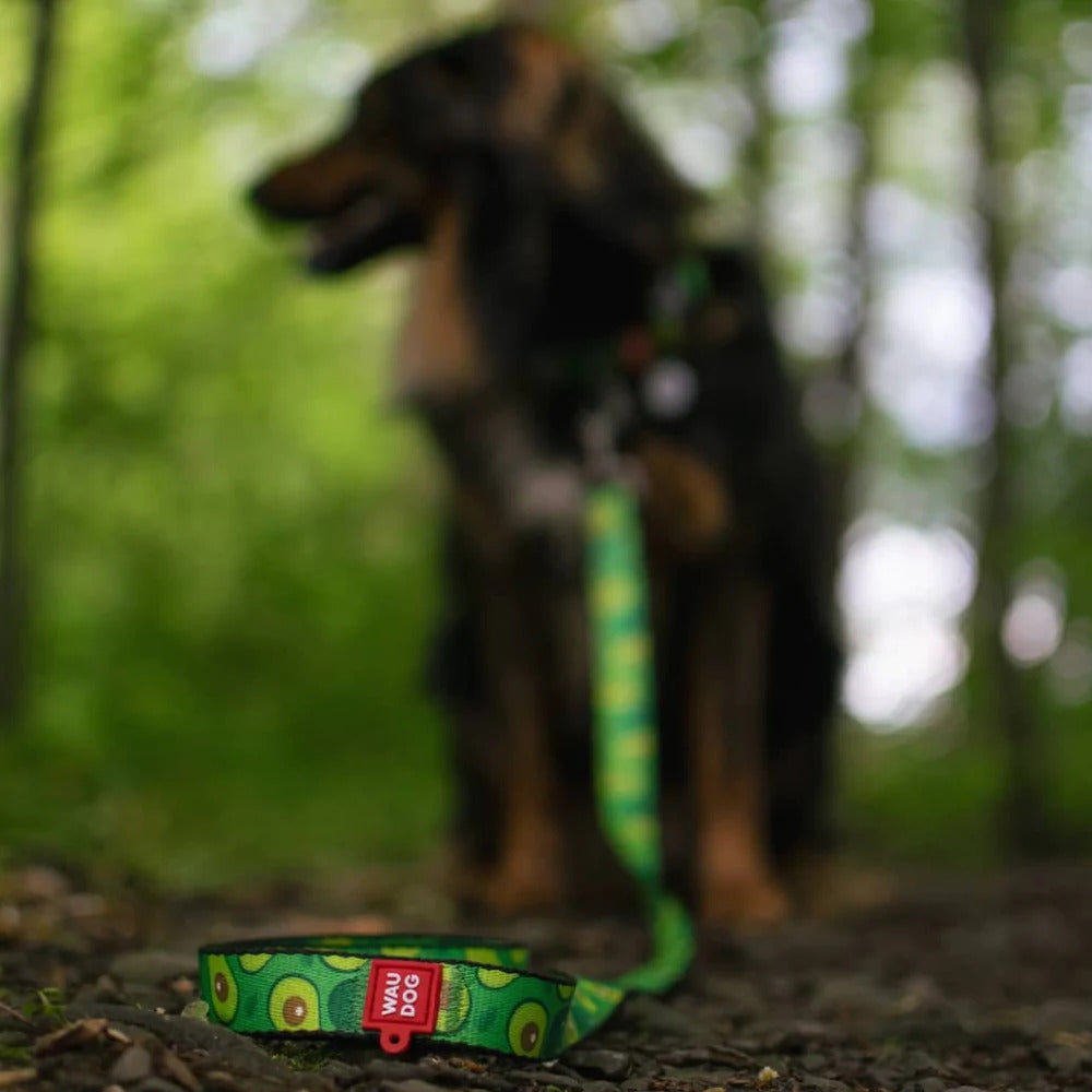 Waudog Nylon Dog Leash - Avocado - S