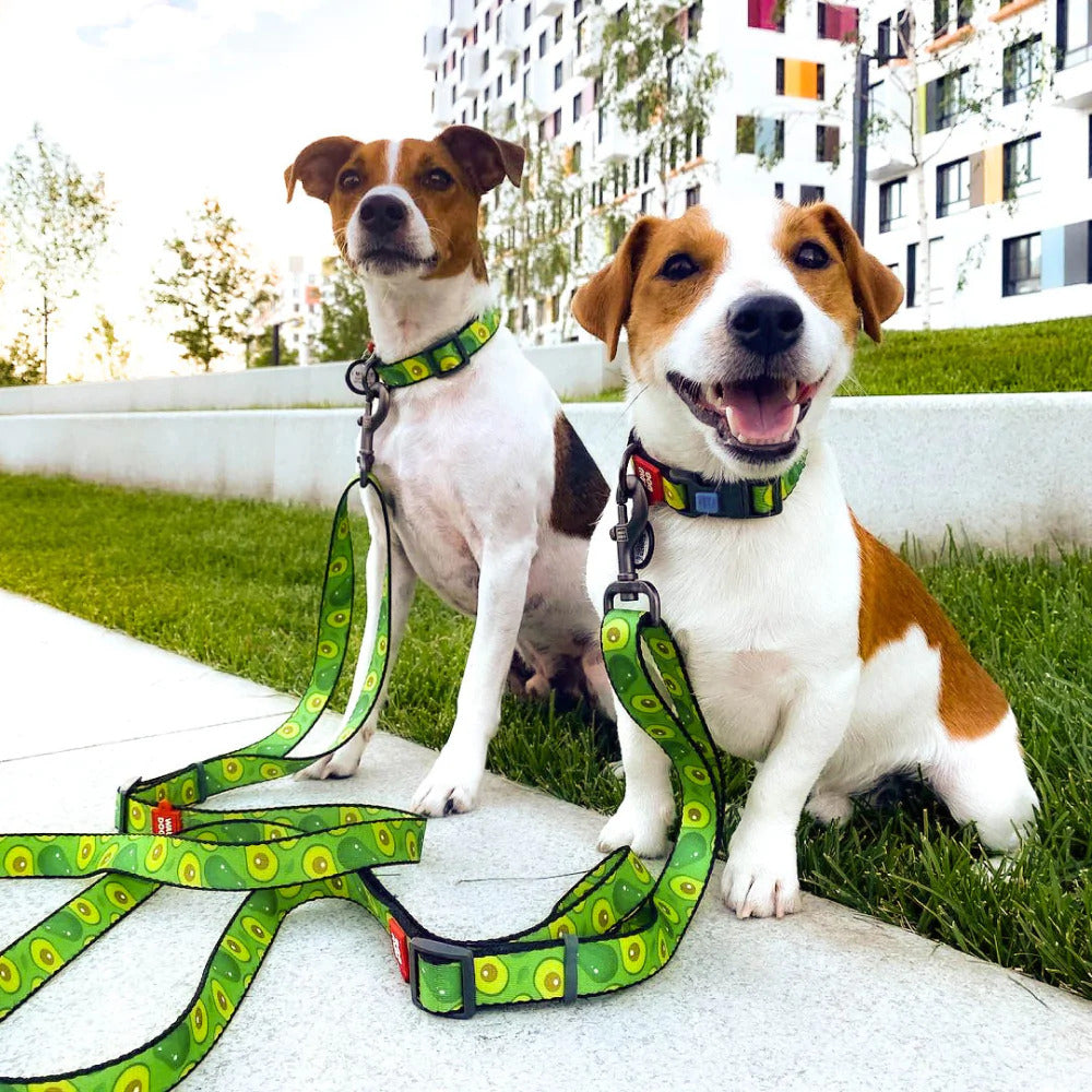 Waudog Nylon Dog Leash - Avocado - L