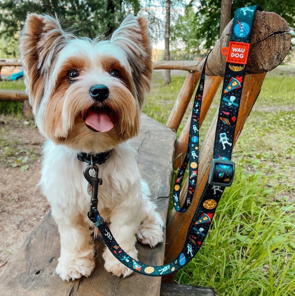 Waudog Nylon Dog Leash - NASA - L