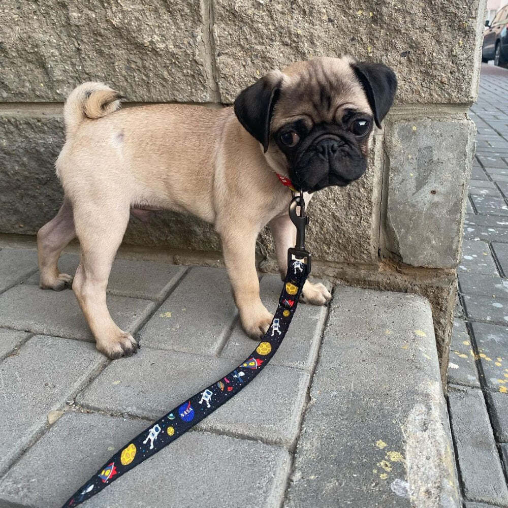 Waudog Nylon Dog Leash - NASA - L