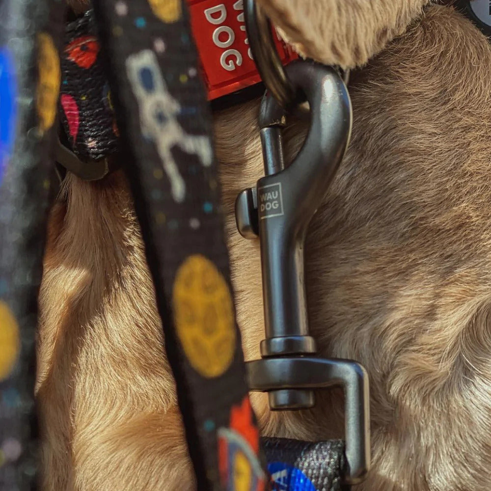 Waudog Nylon Dog Leash - NASA - L