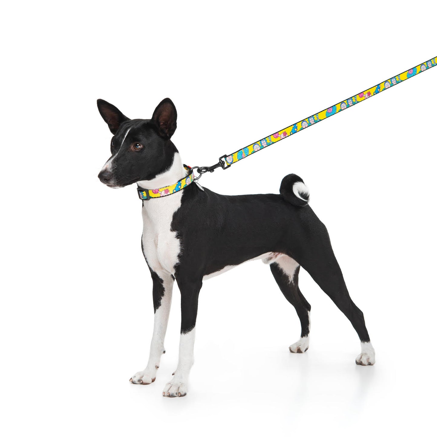 Waudog Nylon Dog Leash - Rick and Morty 1 - S